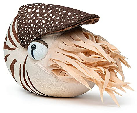 lilizzhoumax Nautilus-Plüsch-Spielzeug 20cm/8”, Simuliertes Tier Kawaii Nautilus-Plüsch-Spielzeug Realistische Nautilus-Plüsch-Spielzeug Spielzeug für Wilde Tiere Geburtstagsgeschenk für Kinder