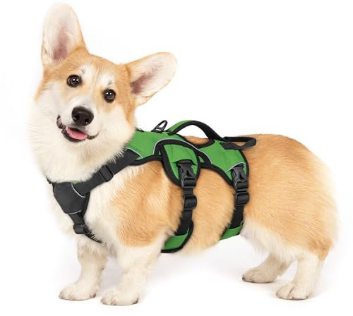 rabbitgoo Escape-Proof Dog Harness Small Dog with Handle, Anti-Pull Reflective Working Service Pets Vest, Breathable Pets Vest Puppy, Adjustable Lift Support Body Harness Outdoor, S, Green