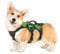 rabbitgoo Escape-Proof Dog Harness Small Dog with Handle, Anti-Pull Reflective Working Service Pets Vest, Breathable Pets Vest Puppy, Adjustable Lift Support Body Harness Outdoor, S, Green