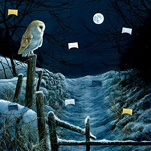 Zettelkalender: Magie und Mythos der Winter-Weihnacht - Spannende Bräuche und Mythen rund um Weihnachten und die Raunächte (Literarische Adventskalender)