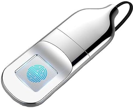 Huella Digital Contraseña Memoria USB Partición Flexible Protección de Datos Empresa Seguridad Oficina 32Gb 64Gb,64GB