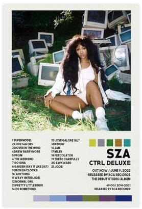 Pop Sänger SZA Ctrl Album Cover Poster Leinwand Poster Wandkunst Dekor Druck Bild Gemälde für Wohnzimmer Schlafzimmer Dekoration ungerahmt 20 x 30 cm