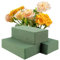 YUXIANLB 3PCs Floral Foam Blocks Wet Dry Flower Foam Plant Foam for Fresh and Artificial Flower Arrangements Oasis Floral Foam for Wedding, Birthdays, Home Decorations(5.5 L X 3.1 W X 1.7 H)