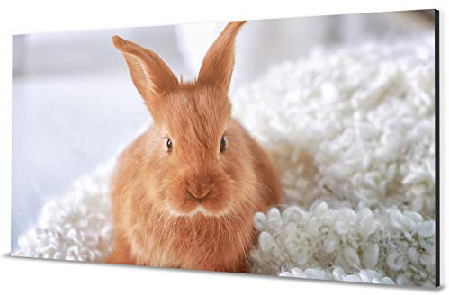 wandmotiv24 Aluminium-Wandbild - Foto auf Aluminium mit Online-Vorschau - personalisiertes Alubild - Bild mit Wunschmotiv - Fotogeschenk - 40x20 cm