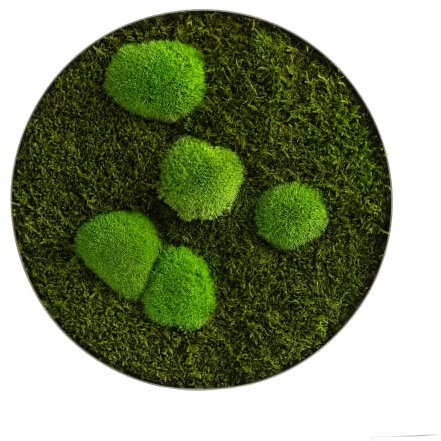styleGREEN Moosbild: Wald- und Kugelmoos Kreis 34 cm