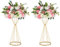 2 Stücke Metall Blume Trompete 50cm Höhe Vase Hochzeit Herzstück Vase Tischdekoration für Hochzeitstag Zeremonie Party Geburtstag Event Gang Dekoration