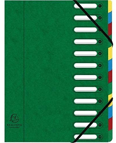 Exacompta Ordnungsmappe Harmonika 55123E DIN A4 12Fächer grün