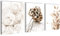 Novart Wandbilder Set Boho Style - KOMPLETT AUFHÄNGFERTIG - Wohnzimmer Schlafzimmer Deko - 3 Moderne Bilder Beige - N023135a