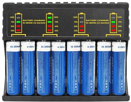 LED Display 8 Bay Battery Charger with Discharge Function for AA, AAA, Ni-Mh Ni-Cd Rechargeable Batteries,Type C and Micro USB Input(5V 2A), Fast Charging Function (8AA)