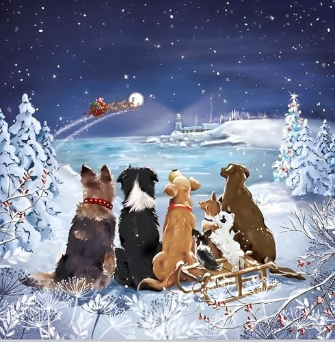 Noel Tatt Charity-Weihnachtskarten, 10er-Pack - Hunde beobachten den Weihnachtsmann - Festliche Weihnachtskarten-Multipack - Zu Gunsten von britischen Wohltätigkeitsorganisationen
