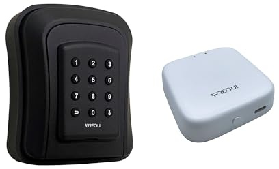 ARREGUI Access SEG016N + BRIDGE Caja de Seguridad para Llaves con Apertura via App o Código por Teclado | Caja Fuerte para Llaves Exterior | Guardallaves de Pared Ideal Airbnb y Apartamentos Turístico