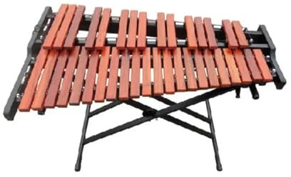 Xylophon Musikinstrument Xylophon for pädagogische Zwecke