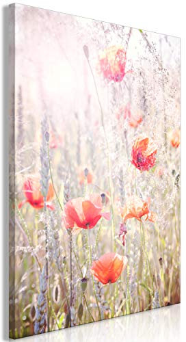 decomonkey Bilder Mohnblumen 80x120 cm 1 Teilig Leinwandbilder Bild auf Leinwand Vlies Wandbild Kunstdruck Wanddeko Wand Wohnzimmer Wanddekoration Deko Blumen Natur