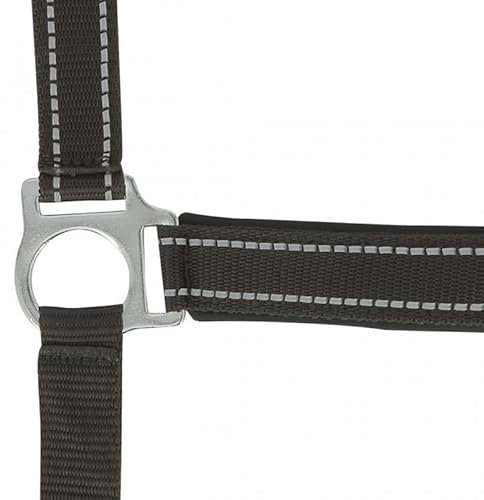 Symantec Halfter Norton Reflective