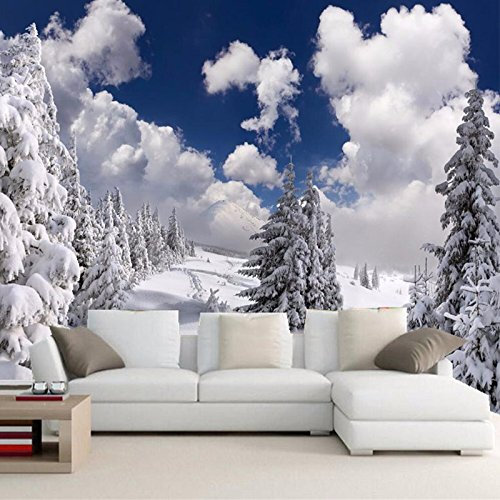 Papier Peint Photo Mural Ciel bleu et neige Peinture Murale 3D Photo Poster Tableaux Muraux Salon Chambre Bureau Couloir Mural Décoration, 450 cm x 300 cm