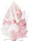 The Baked Studio - Dried Flowers For Cakes Decoration And Crafts With A Pink, Gold & Glitter Ombre Palm Spear (Pink Glitter & Gold)