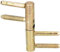 KOTARBAU® Einbohrband 14 mm Messing Universal Türscharnier Haustürband Robust Zargenband Futtertüre Hohe Tragkraft Zylinderkopf Verstellbar