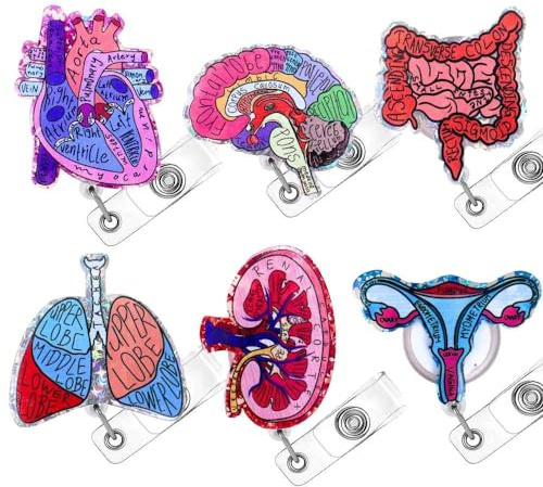 6 x anatomische Organe, Krankenschwester-Abzeichen-Spulen, Glitzer, einziehbare Clips, Halter für Krankenschwestern, Gesundheitswesen, Krankenpflege, Schule, Studenten, Anatomie, Chirurgie, Herz,