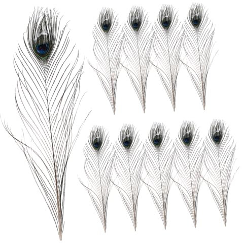 DIYEAH 10 Stück Pfauenfedern 40-50Cm für Basteln Hochzeitsdeko Selbstgemacht Heimdekoration Partydekoration
