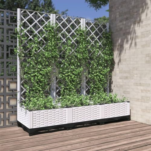 Sophrelle Jardinera de jardín con Enrejado Blanco 120x40x121,5 cm PP Blanco,153283