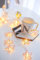 Riaxuebiy Roségold Metallblätter Stern Lichterketten Batteriebetriebene Geometrische 20LED Lichterketten Laternenlampen für Innenhochzeitsfeier Schlafzimmer Weihnachtsdekoration (Stern, 3m/20LED)
