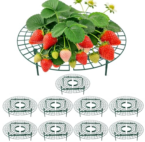 CNNIK Soporte para Plantas de Fresa, Pack de 10, Soporte Redondo, Mantiene Las Fresas Fuera del Suelo, Reutilizable para jardín y huerto Elevado