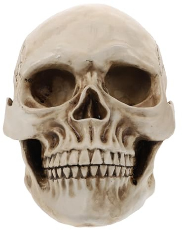 Angoily Realistischer Totenkopf aus Kunstharz in Originalgröße Gruselige Halloween Deko mit Filigraner Gestaltung Bürodekoration und Kunstsammlung