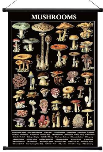 Geyee Vintage-Weihnachtspilz-Poster, Wandteppich, Pilz-Wandkunstdrucke, rustikaler Pilz-Wandbehang, illustratives Referenzposter für Wohnzimmer, Büro, Schlafzimmer, Dekoration, 39 x 60 cm (schwarz)