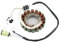 ABLSUR ZüNdung Motorrad Magneto Motor Generator Stator Spule Für Massimo Für Alligator 500 Für Massimo Knight 500 Rotor Stator