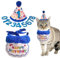 Katzen-Geburtstagshut, Katzen-Motto-Geburtstagsparty-Hüte - Cat Geburtstagsmütze - Katzen-Partydekorationen, niedliches Katzen-Geburtstagshalsband, Katzen-Geburtstagsparty-Zubehör für Gebur