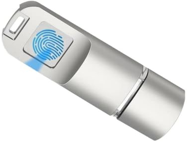 Clé USB C à Empreintes digitales, Stockage en métal de Type C pour téléphone Portable, 256 go, 128 go, 64 go, 32 go, 16 go, Gestion de Disque USB, de données Rapide