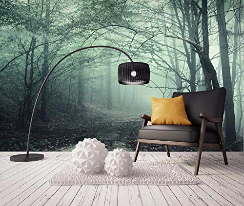 Photo Papier Peint Brume forêt 3D Intissé Décoration Murale XXL Poster Trompe l oeil Tableaux Muraux pour Salon Chambre Toile de Fond Mur 140x100cm