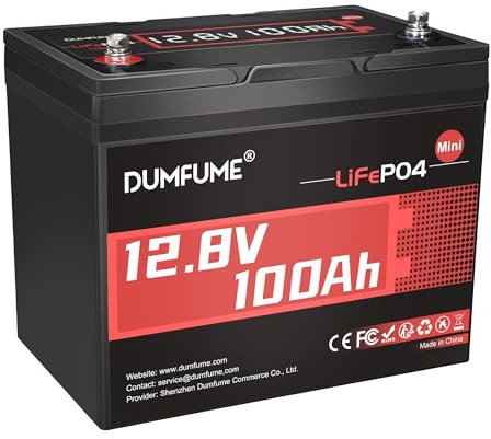 Dumfume 12V 100Ah Mini LiFePO4 Lithium Batterie, mit 100A BMS, 1280Wh, bis zu 15000 Zyklen 10-Jahres Lebensdauer Perfekt für RV, Solar, Marine und Home Energy Storage