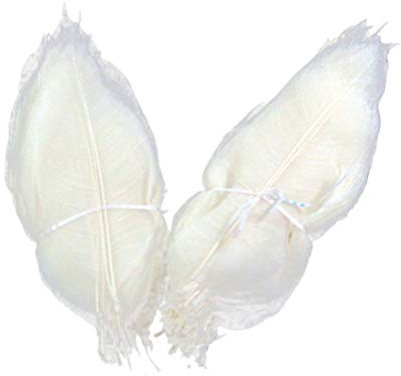 Milisten 100pcs Skeleton Leaves Rubber Tree Natural Scrapbooking Craft DIY Card Wedding Scrapbook DIY Handmade Embellishment