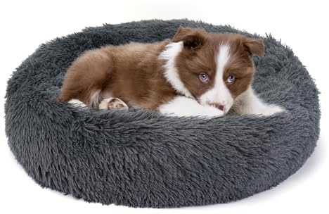 Belababy Calming Dog Bed Cat Bed Donut, X Small Fluffy Round Cuddler Washable Soft Plush Dog Nest and Pet Throw Blanket Set (Dark Grey, Bed 40.6 x 40.6 cm, Blanket 50.8 x 71.1 cm)