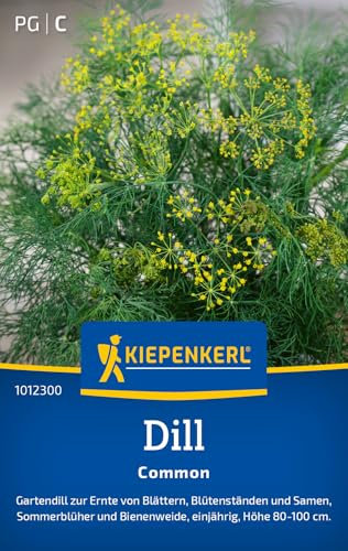 Kiepenkerl Dillsamen Common 1012300 - Gartendill zur Ernte von Blättern, Blütenständen und Samen - Sommerblüher - Samen Gemüse, Saatgut, Pflanzensamen