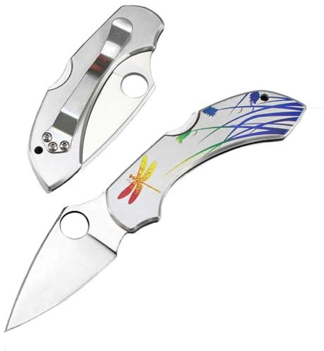 Petit couteau pliant d'extérieur - Couteau de poche portable en acier - Mini Couteau de chasse - pocket knife - Cadeau idéal pour homme