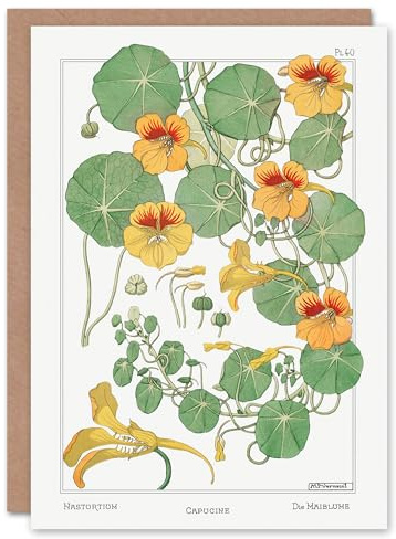 Artery8 Maurice Pillard Verneuil Art Card Nasturtium Flower