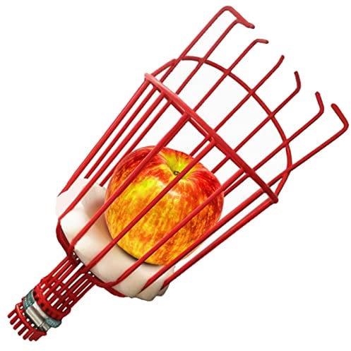 Cueille Fruit Telescopique, Cueilleurs de Fruits, Ramasse Fruit Métal, Outil de Cueillette Jardin, Collecte Outils Griffe Tête avec Manche Telescopique 1.6 / 2.4 / 3.6m Pommes Poires Darbre (Ø 145mm)
