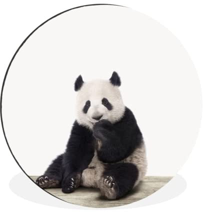 Wandbild Rund Wanddeko Deko Wohnzimmer Bilder 30x30 cm Panda - Tiere - Jungen - Mädchen - Pandabär