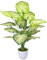 AIVORIUY Planta Artificial con Maceta Areca Palmera Grande Arbol Artificial Plastico Falso Hojas Interior Hogar Salon Dormitorio Balcón Oficina Moderno Decorativas (77cm Palma Blanca)