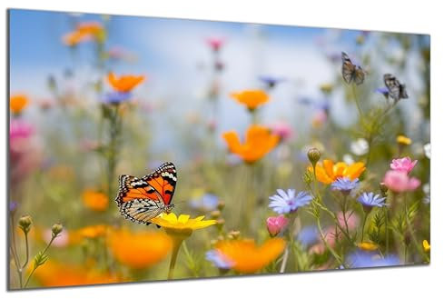 DARO Design - Wand-Bild auf 6mm HDF 84x56 cm Blumenwiese Schmetterling - Wand-Deko Bilder Geschenk