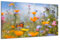 DARO Design - Wand-Bild auf 6mm HDF 84x56 cm Blumenwiese Schmetterling - Wand-Deko Bilder Geschenk