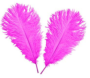 WedDecor Hot Pink Natural Ostrich Feathers 14-16 (35-40cm) Long for Wedding
