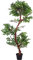 PLANTASIA Kunstpflanze Schnurbaum 160 cm