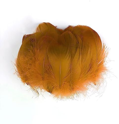 Gänsefedern Gold 7-12cm - 100 Stück (5g) - Hochwertige, Flauschige & Natürliche Federn für Basteln, Dekoration, DIY Projekte, Traumfänger, Schmuckherstellung & Mehr