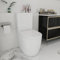 Robanmoa Swirling Flush Close Coupled Toilet, Back to Wall Bathroom Toilets White Ceramic WC Pan Soft Close Seat & Cistern Dual Flush Modern Comfort D Shape Projection Toilet