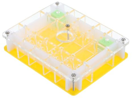 BESPORTBLE Acryl Box Für Ameisenbeobachtung Ameisenkasten Ameisenbau Ameisenfarm Durchsichtig Haustier