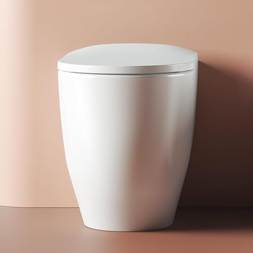 Vaso Wc Filomuro Senza Brida in Ceramica Brera Bianco Lucido