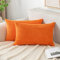 EMEMA Kissenbezug 30x50 cm Herbst Kordsamt Kissenbezüge Dekokissen Sofakissen Cord Kissenhülle Zierkissenbezug Kord Dekorative Weiche für Sofa Wohnzimmer Schlafzimmer 2er Set Orange